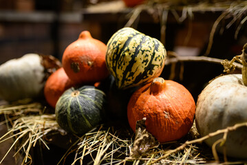 Halloween Decorations: Festive Scene with Spooky Pumpkins, Ghosts, Cobwebs, and Eerie Lights Creating a Haunted Atmosphere