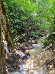 waterfall in the forest