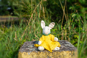 Portrait - hare on a stone