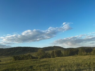 Obraz premium forest in the mountains