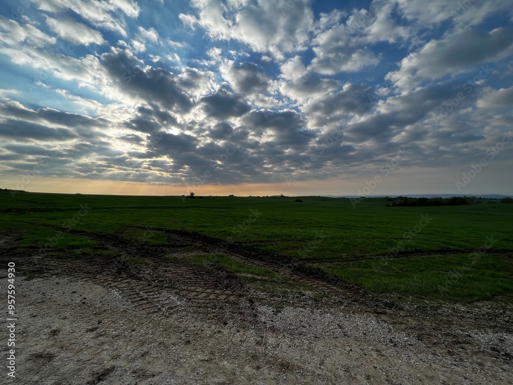 Wall mural field and sky