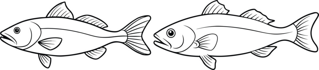 illustration of a cod fish on white 