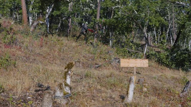Tree Felling Cutting and Falling Logging
