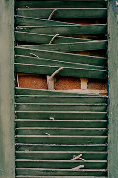 Nature Versus Shutter