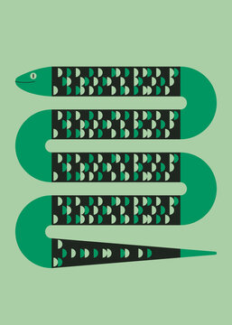 Abstract green snake
