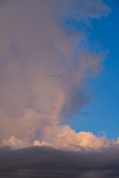 Rainbow after rain