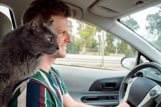 Traveling Man with Cat 