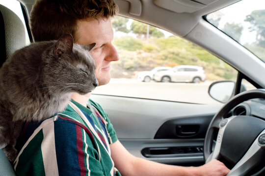 Man Drives Car with Cat 