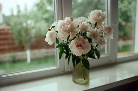 white flowers stand on the window in a vase