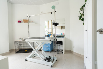 Modern dog grooming salon interior featuring hydraulic table and cage