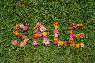 Sale Sign