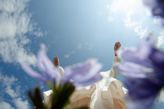 Dance among the flowers 