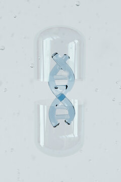 Transparent Capsule Containing DNA Helix
