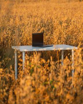 Outdoor office on field.