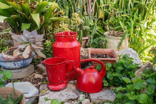 Vintage red watering can and pot in a lush garden 