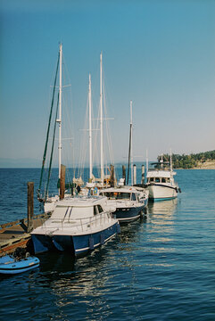Boats Docked in a Peaceful Harbor