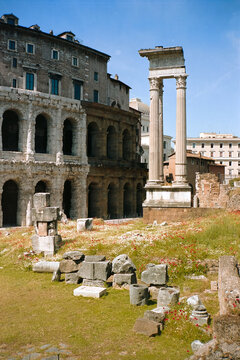 Poppies at the Marcello Theatre in Rome
