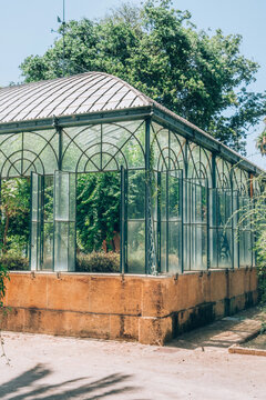 Antique greenhouse.