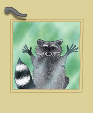 Raccoon looking through a glass door