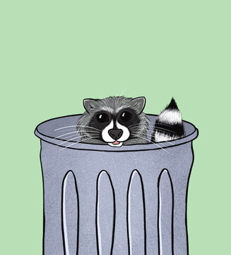 A raccoon peeping out from inside a trash can. 