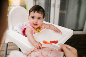 Baby Reaching for Food