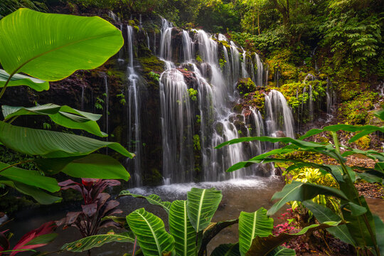 Beatiful waterfall and flowers in North of Bali, Indonesia
