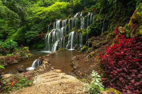 Beatiful waterfall and flowers in North of Bali, Indonesia