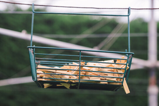 Basket of wooden clothes pegs
