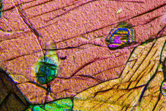 Micrograph of peridotite