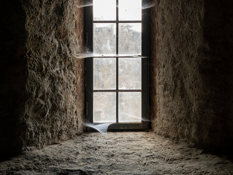 window and spider webs