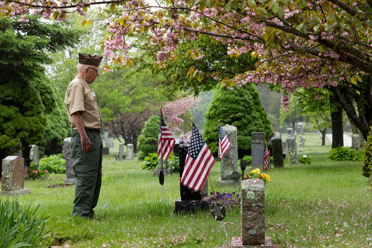 Senior military War Veteran pays respect to fellow soldiers 
