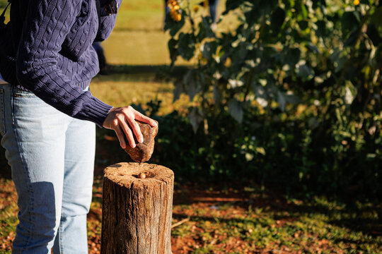Cracking a macadamia nut