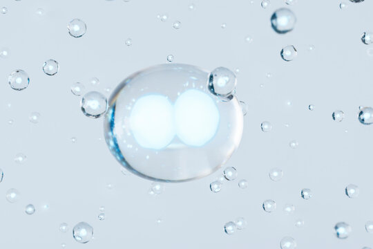 Mid Stage of Cell Division