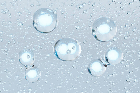 Multiple Cells in Division Process