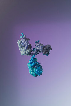 3D Render of Single Antibody Structure