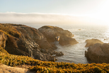 Sea landscape at sunset with a seagull flying over the