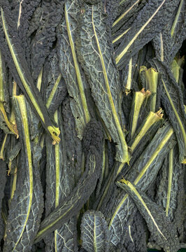 cavolo nero