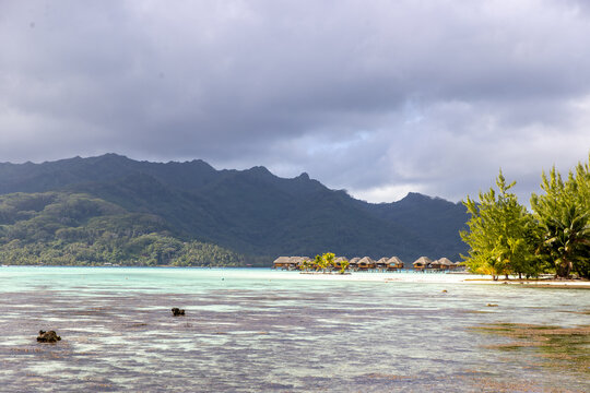 Coral reef visible in shallow tropical ocean sea water on the island of Taha'a in French Polynesia. Overwater bungalows can be seen in the distance for a bucket list vacation in paradise. 