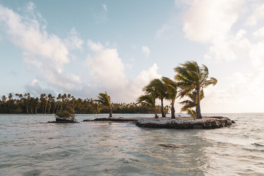 A small tropical island with palm trees in the south pacific ocean near Taha'a in French Polynesia. 