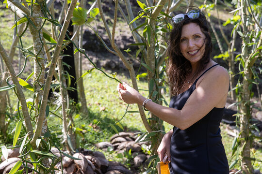 Pretty middle aged woman with her hand on a vanilla plant on the tropical island Taha'a. The vanilla bean produces a lovely scent and flavor. 