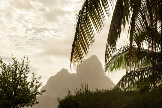 Mount Otemanu on tropical island Bora Bora seen in the distance. Looking through palm tree fronds on a cloudy day in paradise. 