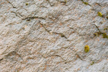 mossy rock texture