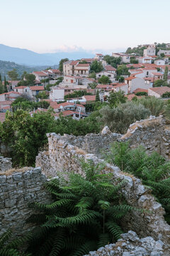 View on Lofou village