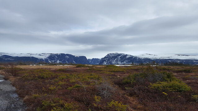 a mountain of snow alone in a rambunctious field