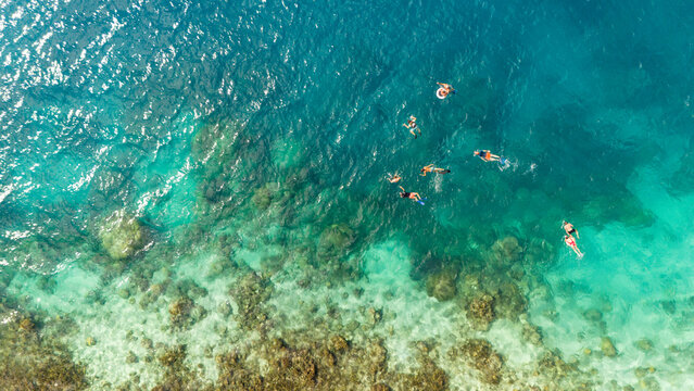Snorkelers snorkel above clear south pacific ocean water around the tropical island Bora Bora as they watch endangered species Manta Ray swim under the sea. Drone view. 