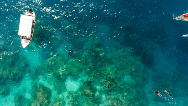 Snorkel adventure boat over clear blue water in French Polynesia. Tourists swim and look at wildlife in the coral reef. 