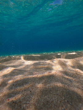 Underwater photography