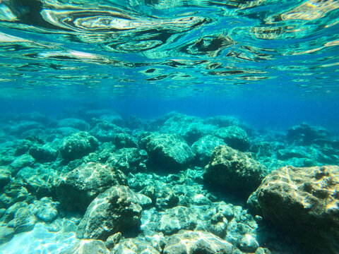 Underwater photography