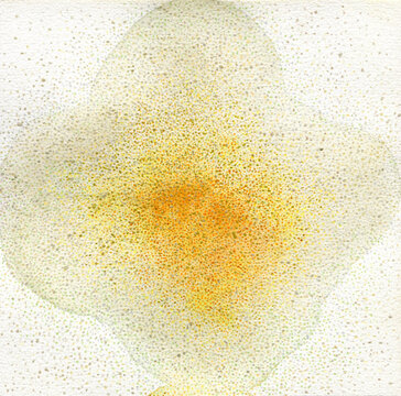 abstract daisy flower