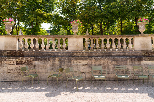 Green chairs at the gardens in Paris